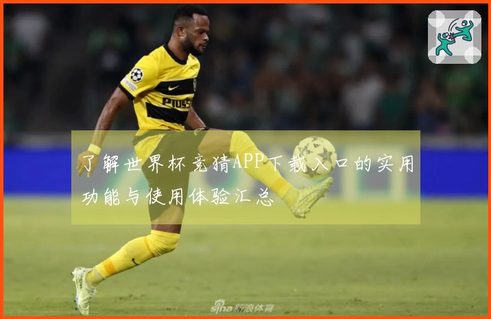 了解世界杯竞猜APP下载入口的实用功能与使用体验汇总
