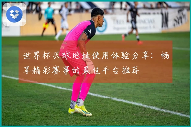 世界杯买球地址使用体验分享：畅享精彩赛事的最佳平台推荐