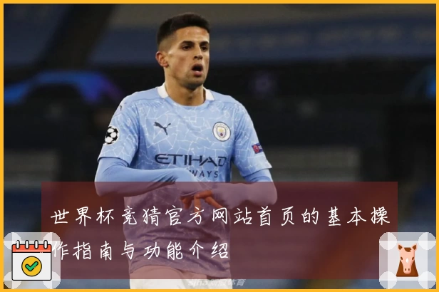 世界杯竞猜官方网站首页的基本操作指南与功能介绍