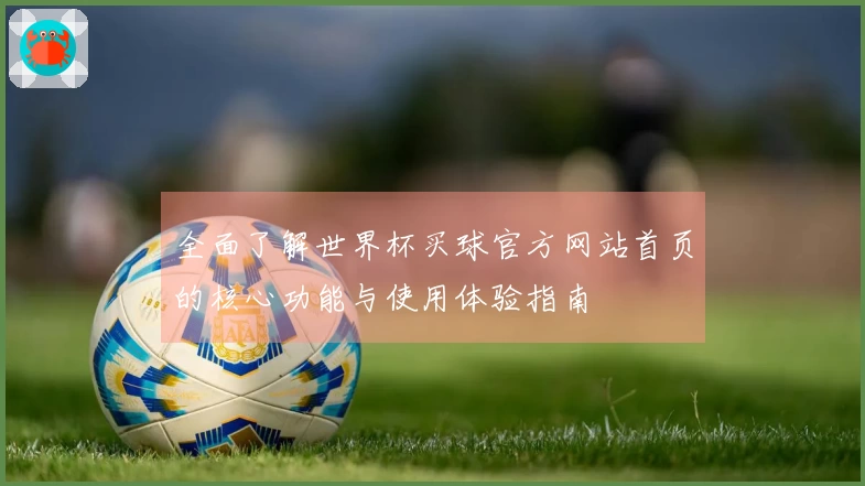 全面了解世界杯买球官方网站首页的核心功能与使用体验指南