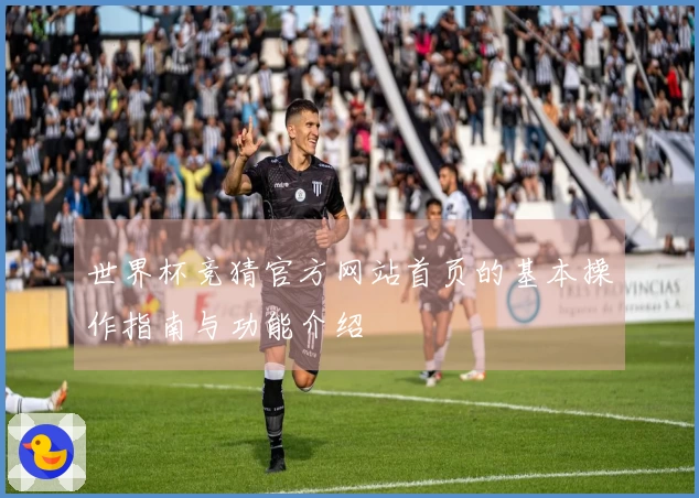 世界杯竞猜官方网站首页的基本操作指南与功能介绍