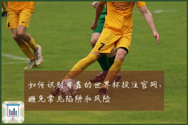 如何识别可靠的世界杯投注官网,避免常见陷阱和风险