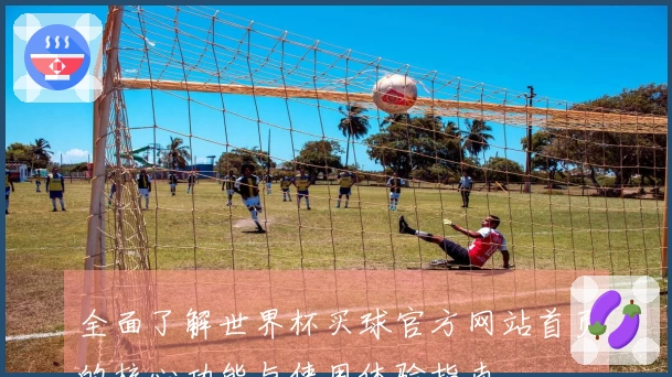全面了解世界杯买球官方网站首页的核心功能与使用体验指南