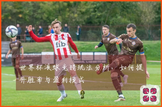 世界杯滚球竞猜玩法分析,如何提升胜率与盈利模式