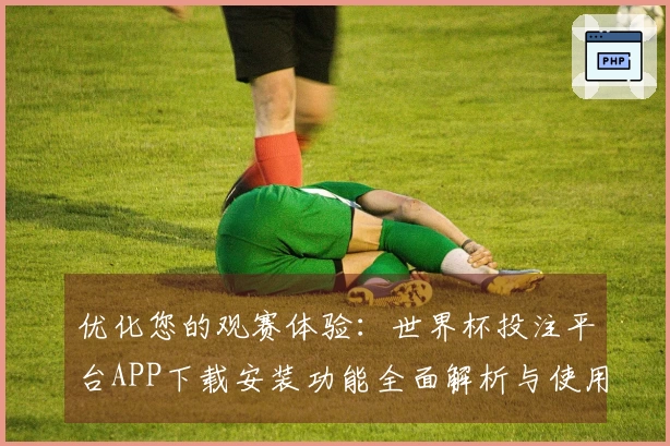 优化您的观赛体验：世界杯投注平台APP下载安装功能全面解析与使用指南