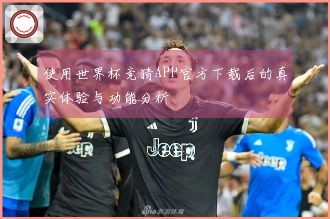 使用世界杯竞猜APP官方下载后的真实体验与功能分析
