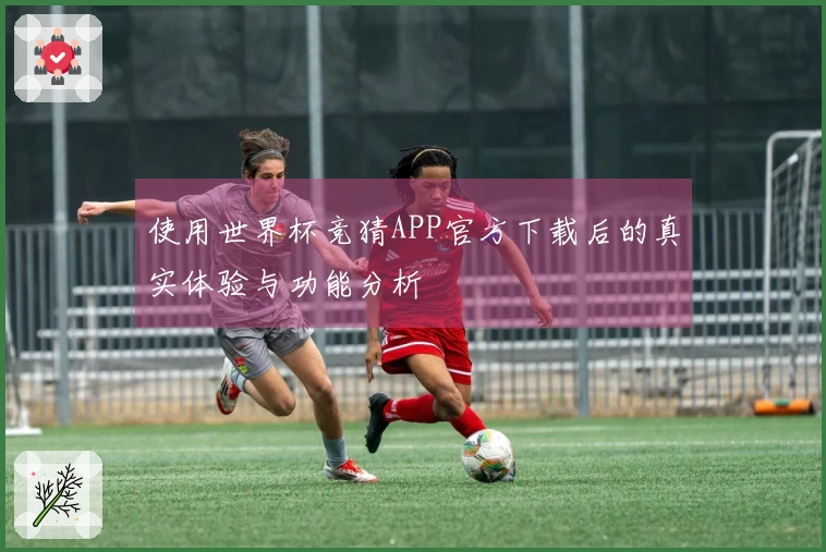 使用世界杯竞猜APP官方下载后的真实体验与功能分析