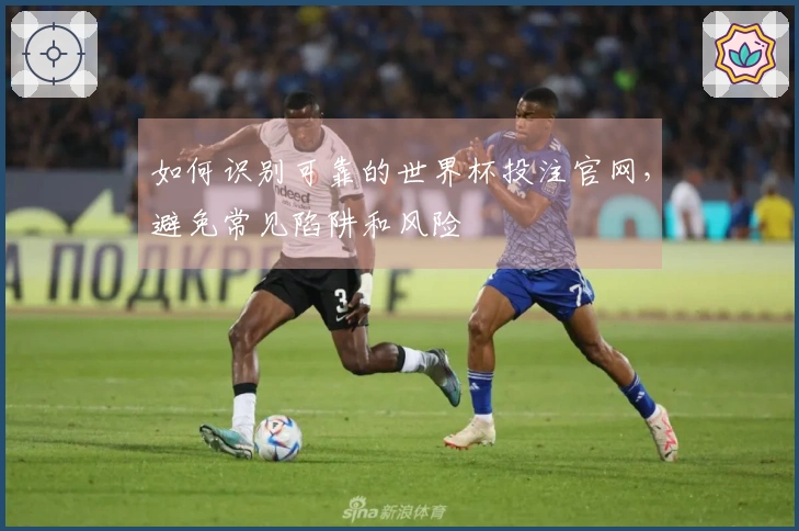 如何识别可靠的世界杯投注官网，避免常见陷阱和风险
