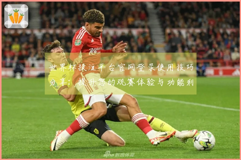 世界杯投注平台官网登录使用技巧分享：提升您的观赛体验与功能利用方法