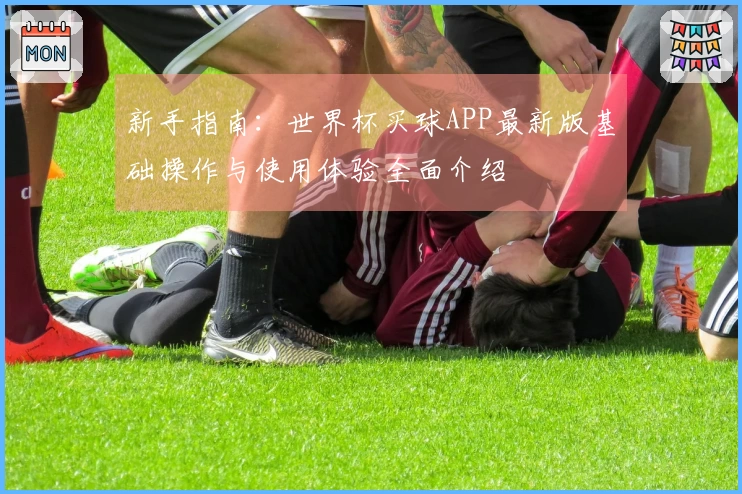 新手指南：世界杯买球APP最新版基础操作与使用体验全面介绍