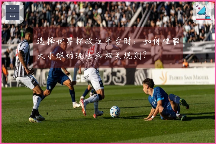 选择世界杯投注平台时，如何理解大小球的玩法和相关规则？