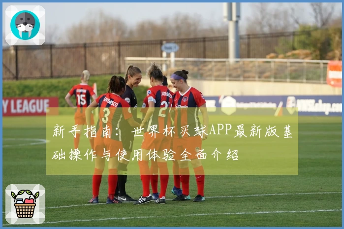 新手指南：世界杯买球APP最新版基础操作与使用体验全面介绍