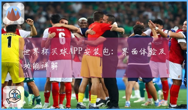 世界杯买球APP安装包：界面体验及功能详解