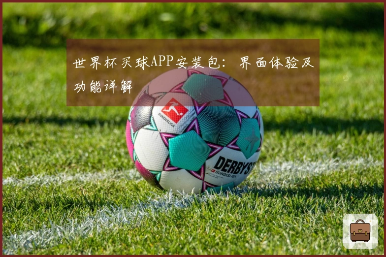 世界杯买球APP安装包：界面体验及功能详解